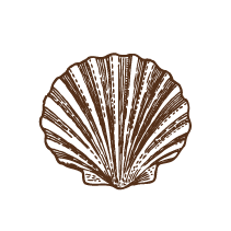 Shell 7