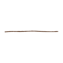 Single Line 1