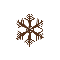 Snowflake 5