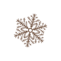 Snowflake 6