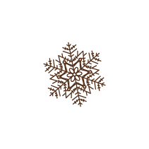 Snowflake 8