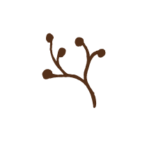 Twig