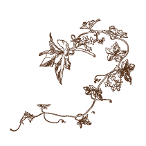 Vine 3