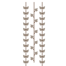 Vines