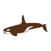 Whale