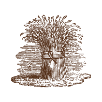 Wheat Bushel
